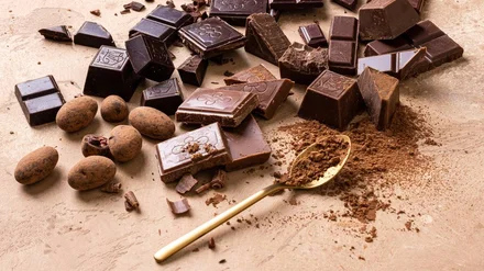 Польза и вред шоколада: как выбрать, сколько съесть и что в составе