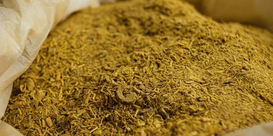 На фото — корень солодки в дроблёном виде. Из дроблёного сырья на последующих этапах получается лучше извлечь полезные вещества