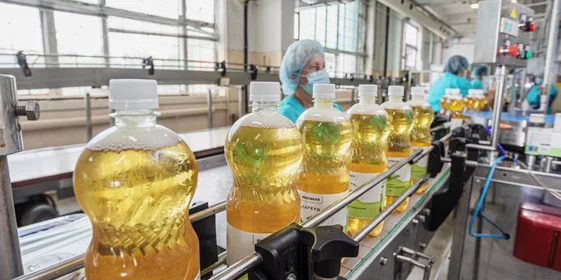 Основа «Тархуна» — настой эстрагона — в природе имеет жёлтый цвет