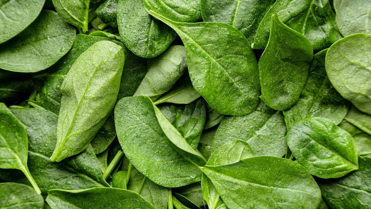 Чем полезен шпинат и что из него приготовить
