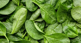 Чем полезен шпинат и что из него приготовить