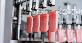 Как делают наш фруктовый лёд: про дикую клюкву и холод Арктики