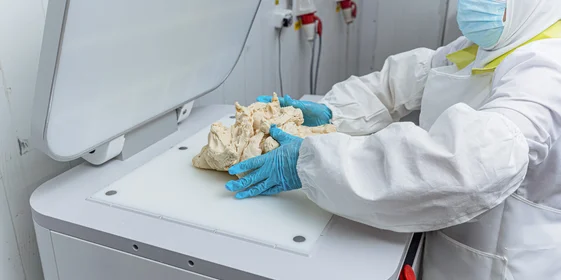 Тесто помещают под пресс…