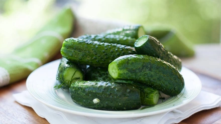 Хрустящие малосольные огурцы: ответы на вопросы и рецепты в пакете и банке