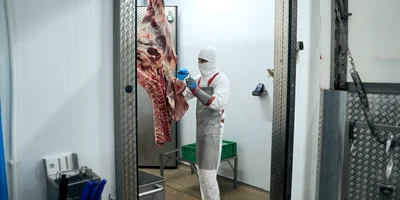 На предприятии применяют вертикальную обвалку — разделку полутуш в подвешенном состоянии. Такой метод позволяет снизить трудоёмкость и повысить эффективность разделки