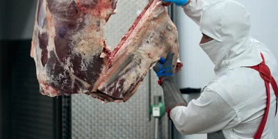 Для обвальщика мяса нужно не только виртуозно владеть ножом или пилой, знать анатомию животного, но и иметь развитую моторику и сильные руки. Дополнительная сложность заключается в том, что разделывать нужно не только точно, но и быстро