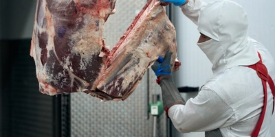 Для обвальщика мяса нужно не только виртуозно владеть ножом или пилой, знать анатомию животного, но и&nbsp;иметь развитую моторику и&nbsp;сильные руки. Дополнительная сложность заключается в&nbsp;том, что разделывать нужно не только точно, но и&nbsp;быстро