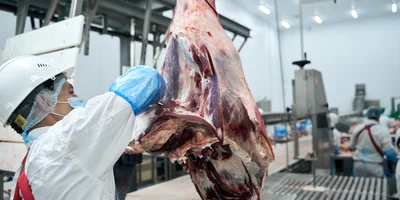 Работа на мясокомбинате — это постоянный контакт с острыми режущими предметами. Поэтому за техникой безопасности здесь следят строго, а сотрудники снабжаются спецодеждой: кольчужными фартуками и перчатками. А на некоторых участках выдают даже каски