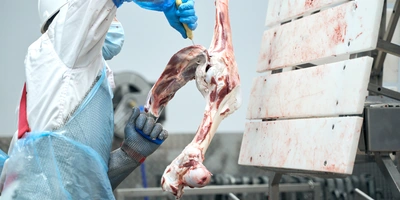 Работа обвальщика требует тщательности: разрешается оставлять лишь незначительное количество мышечной ткани на&nbsp;поверхности костей