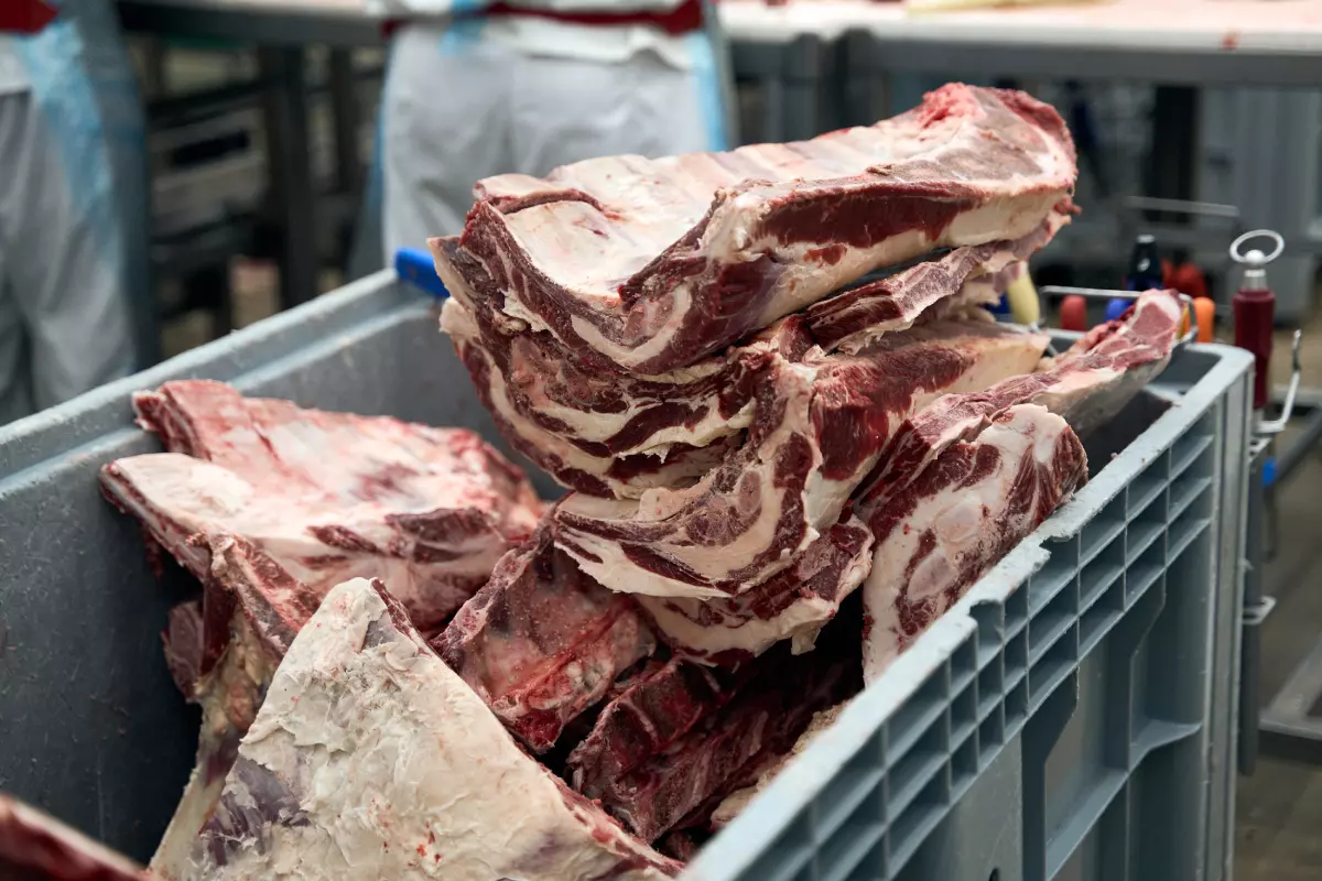 Ассортимент мяса и мясной продукции в РМ Агро насчитывает более 100 наименований