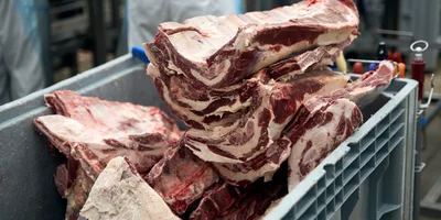 Ассортимент мяса и мясной продукции в РМ Агро насчитывает более 100 наименований