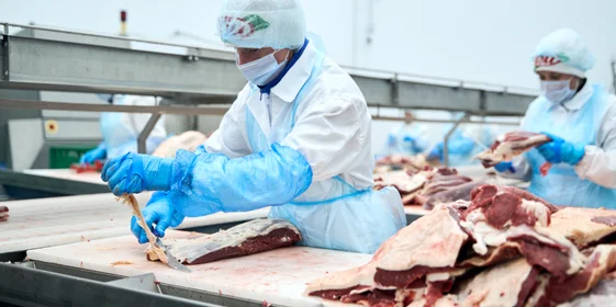 После обвалки мясо направляется на жиловку. Здесь специальными ножами отделяют мясо от соединительной ткани, сосудов, хрящей и жира