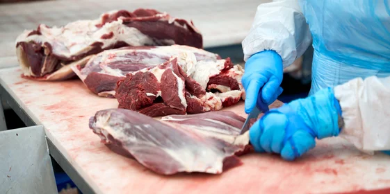 Работники участка жиловки отвечают за внешний вид мяса, которое поступает в продажу. Здесь мясо распределяется по сортам и подготавливается к дальнейшей глубокой переработке