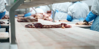 Жилованную говядину сортируют и&nbsp;отправляют на&nbsp;упаковку 