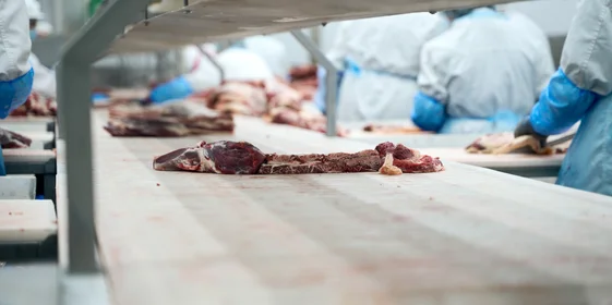 Жилованную говядину сортируют и отправляют на упаковку 