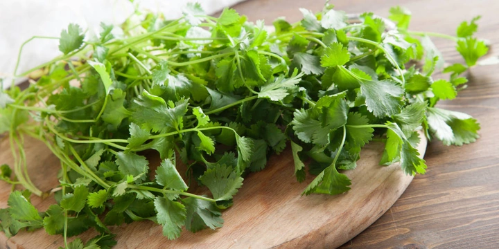 Как сохранить зелень свежей или правильно её заморозить