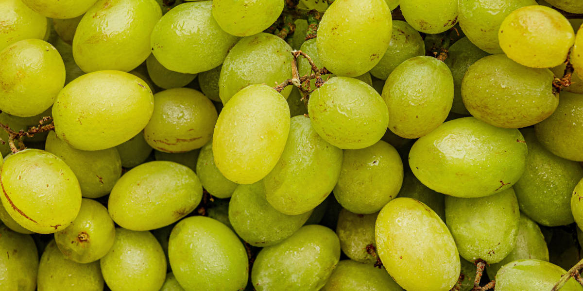 Калорийность винограда, польза и вред, с косточками и без: разбор спристрастием
