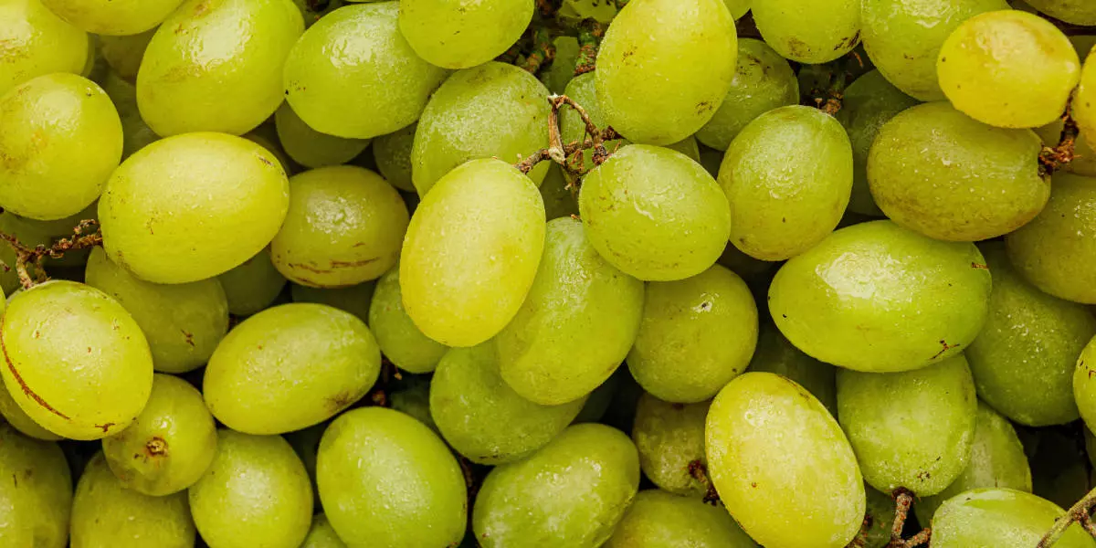 Сколько ккал в винограде без косточек