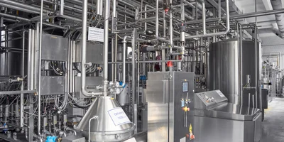 Молоко на производстве вы не увидите нигде: всё оно бежит по трубам