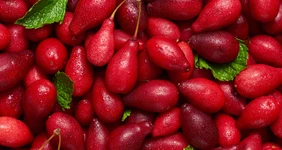 Что такое кизил, чем он полезен и как его есть