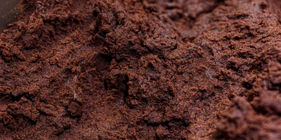 Шоколадный бисквит готовится с добавлением сливочного масла и шоколада. Существует стереотип, что бисквит для «картошки» готовится по принципу «слепила из того, что было»