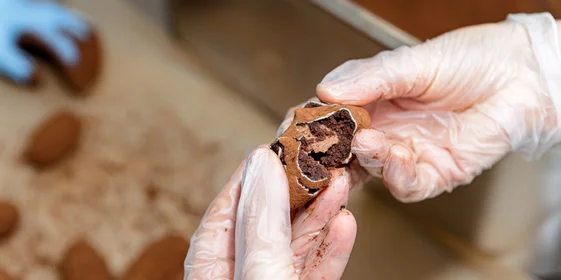 Сверху необычная многослойная «картошка» декорируется бельгийским какао