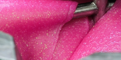 Варка слаймов происходит в специальных «котлах»: туда засыпают все необходимые ингредиенты