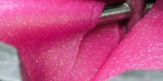 Варка слаймов происходит в специальных «котлах»: туда засыпают все необходимые ингредиенты