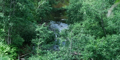 Производство «Органик Фармасьютикалз» расположено в&nbsp;экологически чистом районе Новгородской области. В&nbsp;радиусе ближайших километров — только лес. Ощущение, что ты оказался на&nbsp;базе отдыха или в&nbsp;санатории