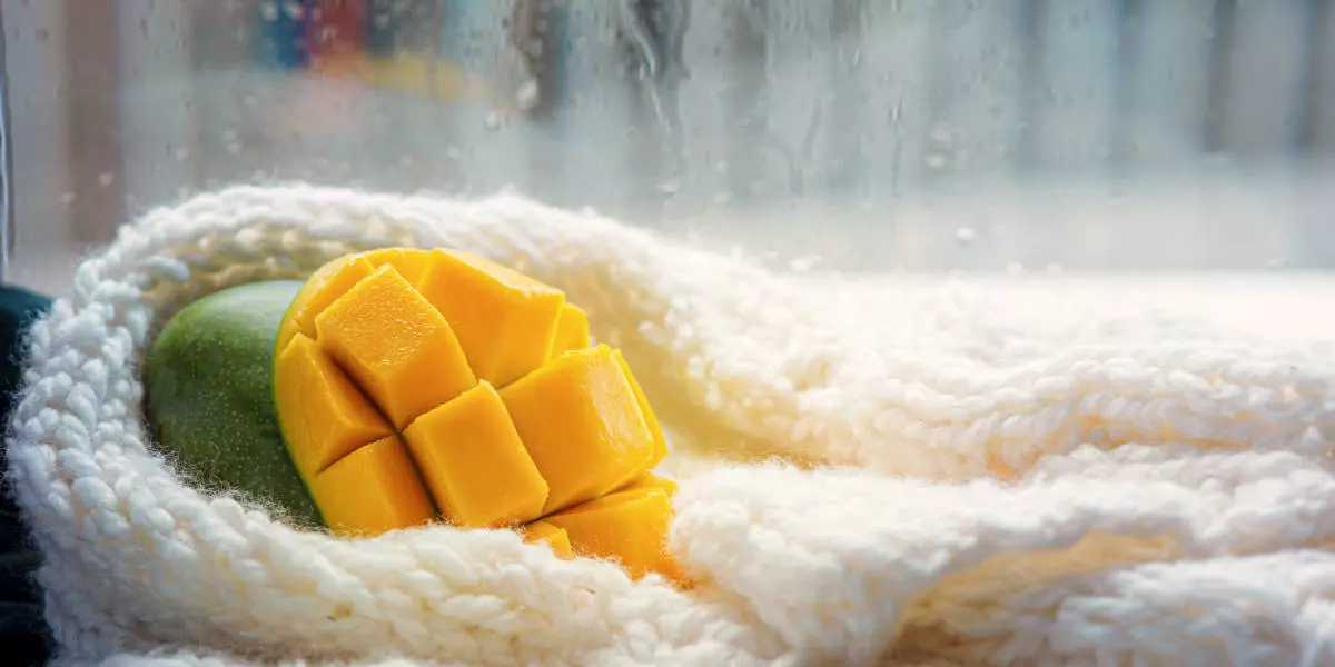 Как дозреть манго и правильно хранить его в домашних условиях