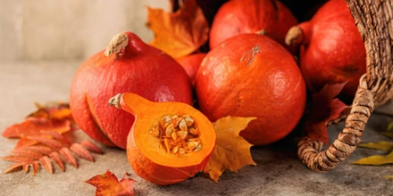 Что приготовить из тыквы, чем она полезна и при чём тут Лев Толстой