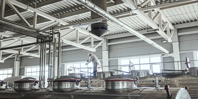 Водитель перемешивает молоко, а лаборант завода отбирает пробы и проводит анализ партии