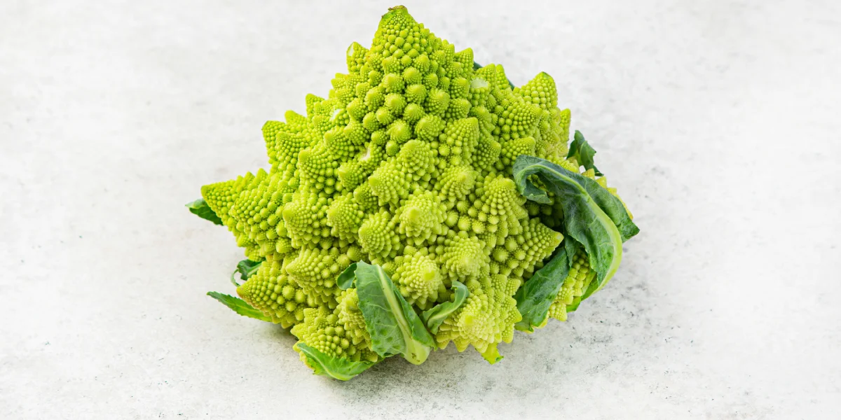 Брокколи, цветная, пекинская, белокочанная: 10 очень разных блюд из капусты
