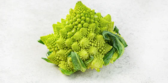 Брокколи, цветная, пекинская, белокочанная: 10 очень разных блюд из капусты