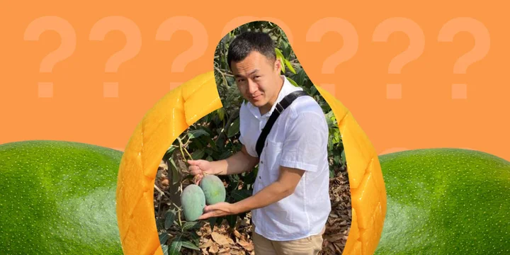 10 вопросов технологу: кто встречает корабли с манго и какие дегустации вкуснее