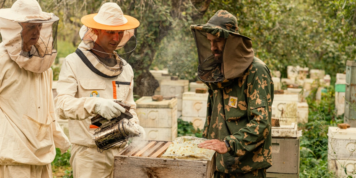 Пчёлы не привыкают к&nbsp;определённому человеку, но они чувствуют привычное обращение, запоминают порядок действий пчеловода