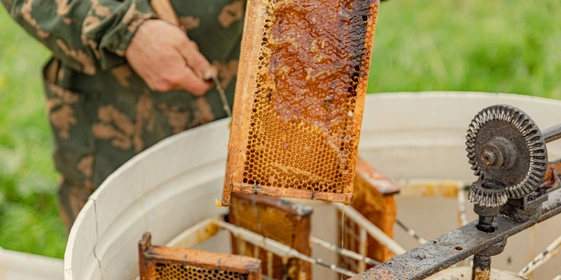 Рамки с&nbsp;мёдом помещают в&nbsp;медогонку и&nbsp;затем раскручивают её. Под&nbsp;действием центробежной силы мёд отделяется от&nbsp;сотов и&nbsp;стекает на&nbsp;дно ёмкости