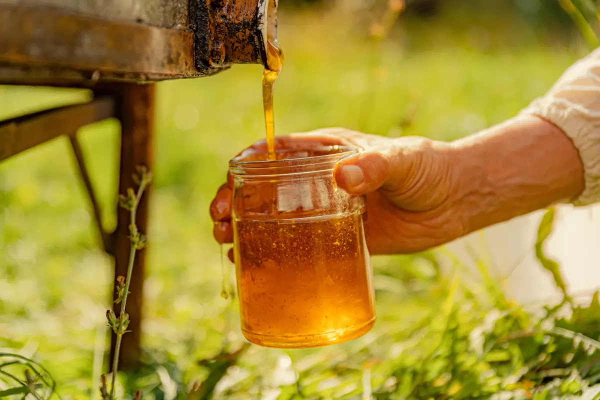 Собранный мёд отправляют на производство, где он фильтруется, проходит ряд лабораторных тестов, а затем разливается в баночки