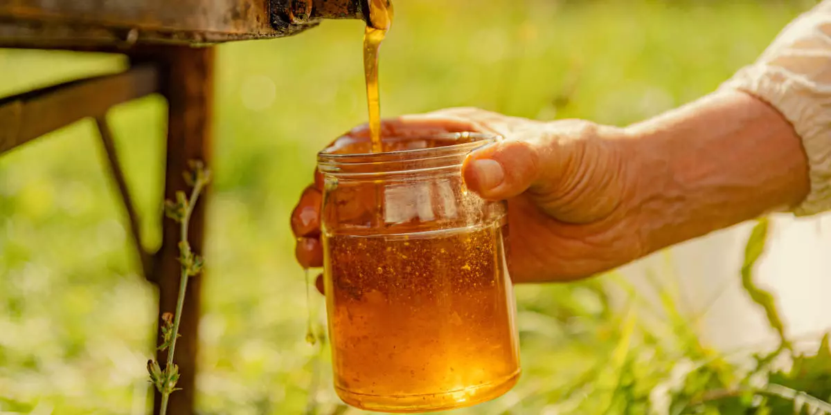 Липовый или настоящий: как делают мёд