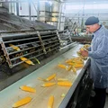 Початки кукурузы очищают от покровных листьев на специальной установке — обдирочной машине, сотрудник контролирует качество очистки