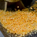 Зёрнышки промывают на флотационной мойке, где также происходит отделение легковесных примесей, битых зёрен и оболочек