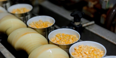 После чего заливают рассолом — смесью воды, сахара и&nbsp;соли