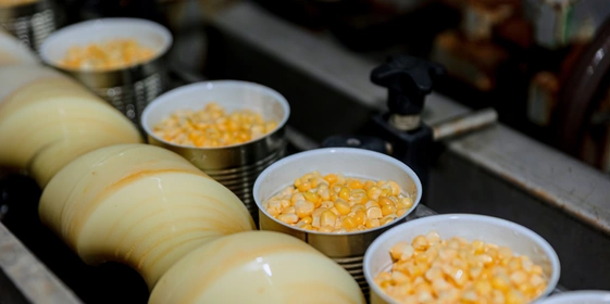 После чего заливают рассолом — смесью воды, сахара и&nbsp;соли