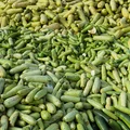 Кабачок проверяется на степень зрелости и его внешнее состояние, физико-химические показатели, а также содержание нитратов. Проверку проходит каждая партия