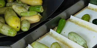 Очищенные от первичной грязи кабачки поступают в барабан, где с помощью щёток очищаются повторно