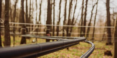 Сок собирается по системе трубопровода. Монтаж системы осуществляют осенью, когда лес из-за отсутствия листвы просматривается лучше всего