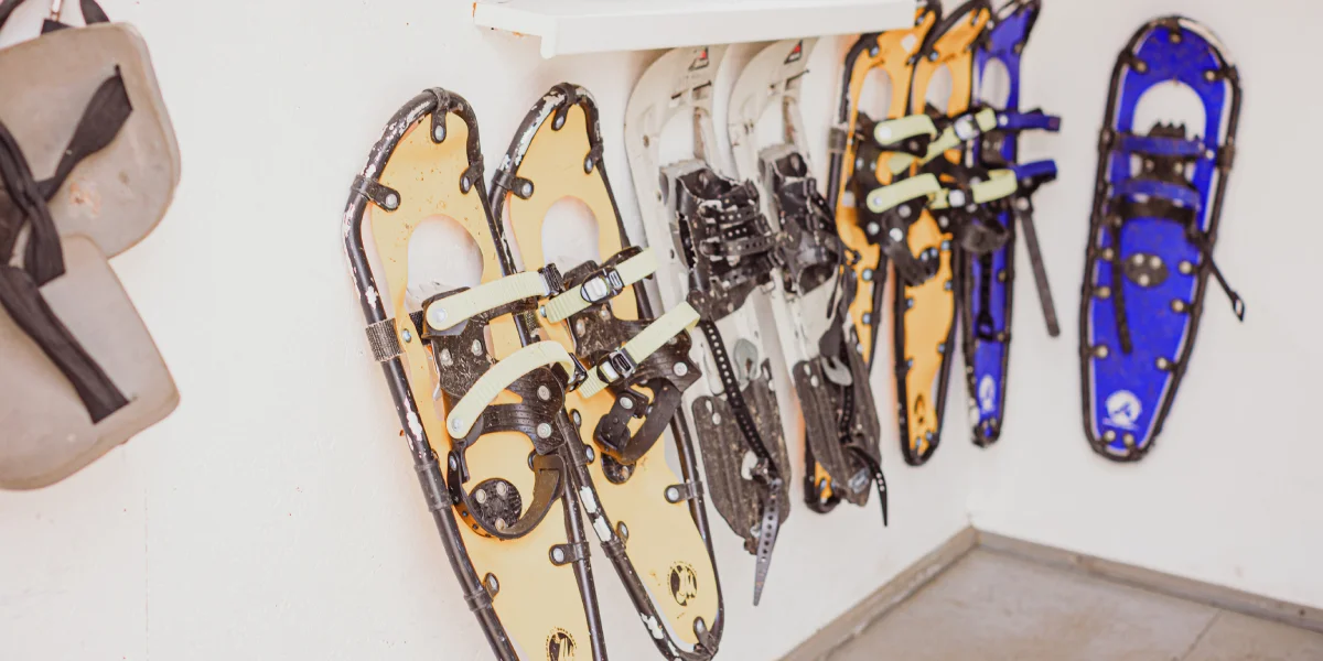 Каждый год первый раз к дереву сотрудник кленоварни подходит перед началом сезона, где-то в январе-феврале. Чтобы просверлить новое отверстие и не утонуть в глубоких сугробах, на помощь приходят снегоступы