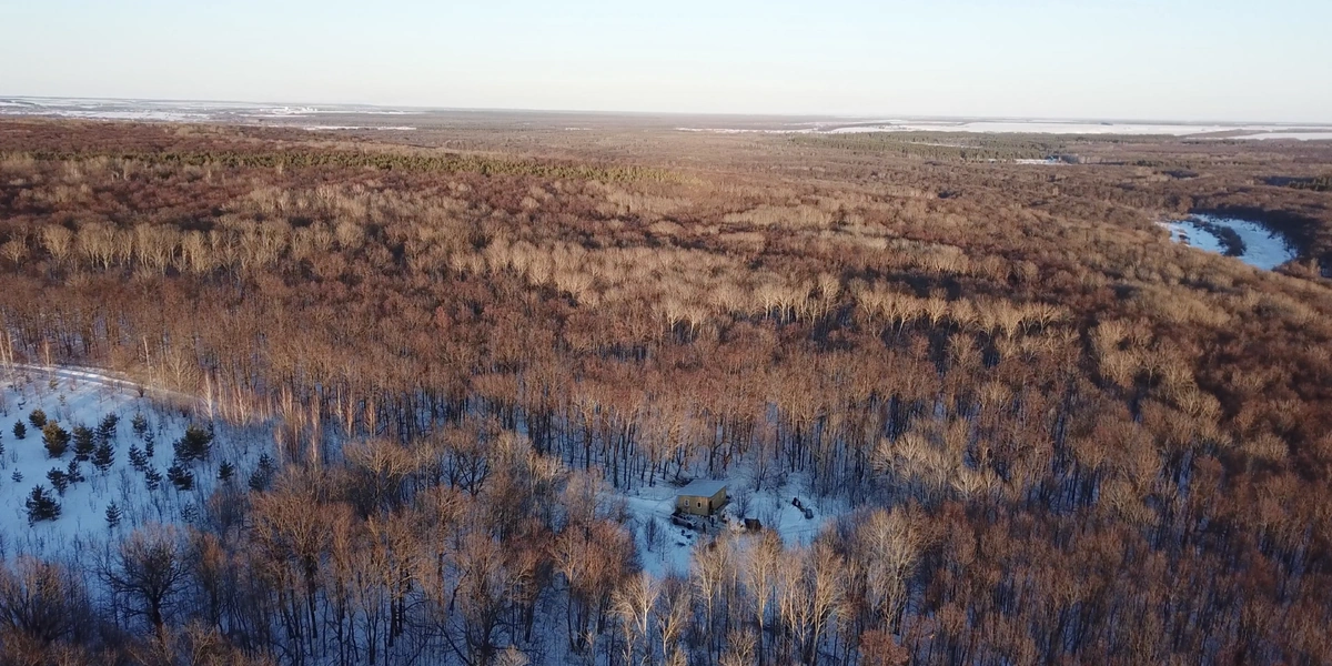 Под силой гравитации, а также благодаря вакууму сок устремляется к одной общей трубе, ведущей на базу. Кленоварня расположена посреди леса, на ближайшие километры от неё ничего нет