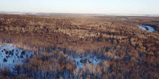 Под силой гравитации, а также благодаря вакууму сок устремляется к одной общей трубе, ведущей на базу. Кленоварня расположена посреди леса, на ближайшие километры от неё ничего нет