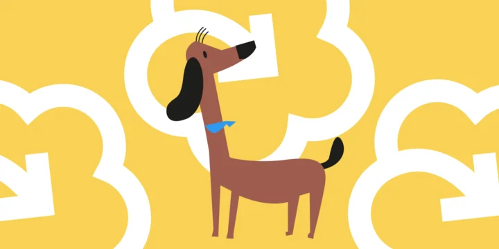 Как убирать за собакой на улице и другие вопросы по уходу за питомцами